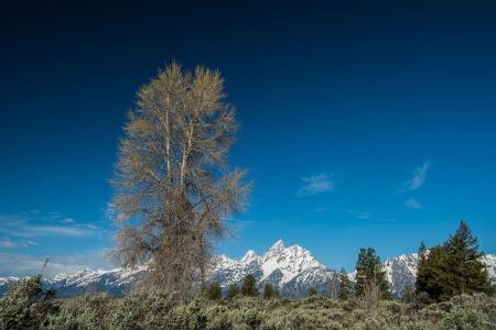 籩Ϯ ½߷ٳÿСʱ100